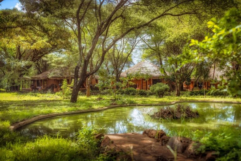 Un bassin dans un jardin d'acacias, devant des bâtiments aux toits de chaume