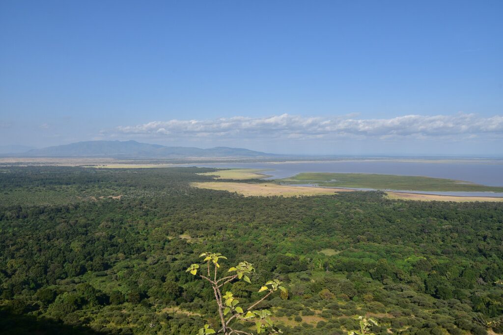 Vue plongeante depuis l'escarpement sur la forêt verte, la plaine et le lac Manyara au loin