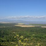 Vue plongeante depuis l'escarpement sur la forêt verte, la plaine et le lac Manyara au loin