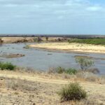 La rivière Galana, large et brune, décrit une courbe entre des bancs de sable clair et des buissons, sous un ciel voilé