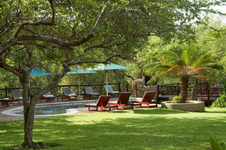 La piscine du Grand Kruger Lodge dans un jardin ombragé, entourée de transats en bois et de parasols turquoise