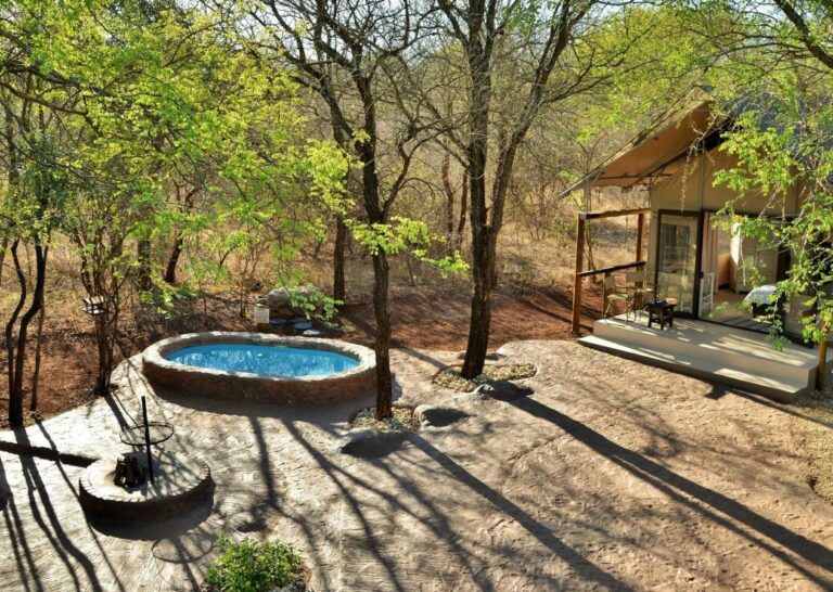 Une tente au milieu des arbres, avec sa terrasse, sa piscine ronde et son foyer à barbecue