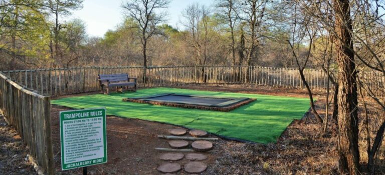 Un trampoline enterré sur un gazon synthétique, dans un enclos en bois, avec son panneau de règles