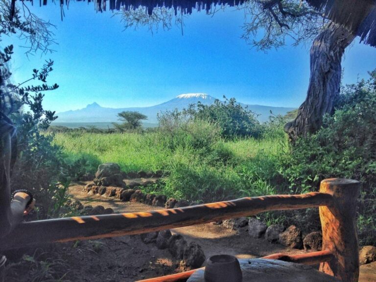 Le sommet enneigé du Kilimandjaro au-dessus de la savane verte, derrière une barrière en bois