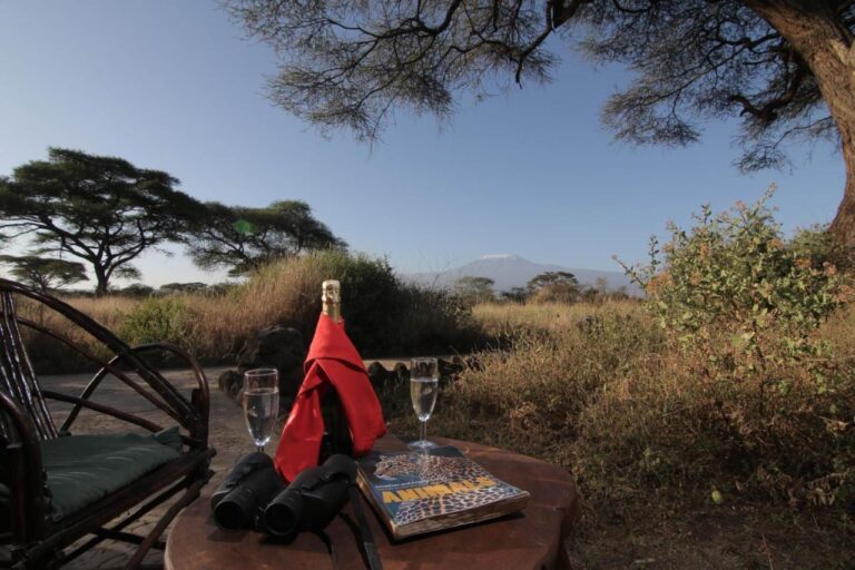 Des jumelles, un livre sur les animaux et deux flûtes sur une table, face aux acacias et au Kilimandjaro