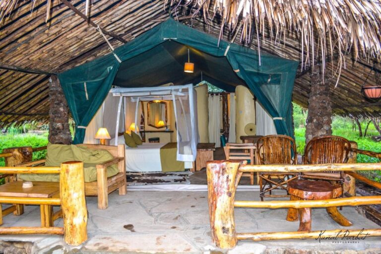 L'entrée d'une tente du Kibo Safari Camp sous un toit de chaume, avec sa terrasse et ses fauteuils en bois