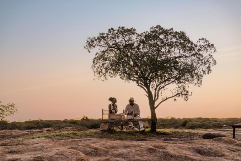 Un couple assis sur un banc sous un arbre, sur une dalle de rocher, sous un ciel rose
