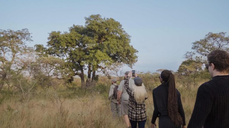 Une marche à pied dans les hautes herbes, derrière un guide en tenue kaki