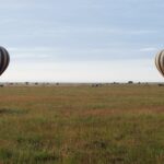 Deux montgolfières rayées se posent au petit matin dans la plaine verte, avec les 4x4 qui les suivent