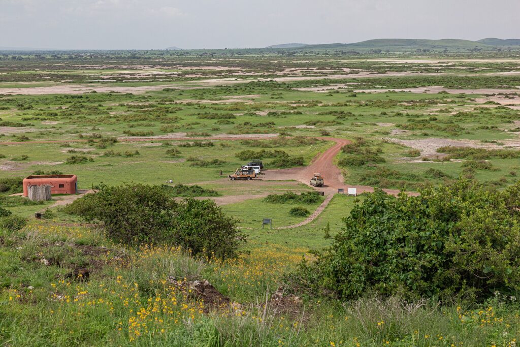 Vue depuis Observation Hill sur une plaine verte tachée de sel, une piste rouge, trois 4x4 garés près d'un petit bâtiment ocre, des collines basses au loin