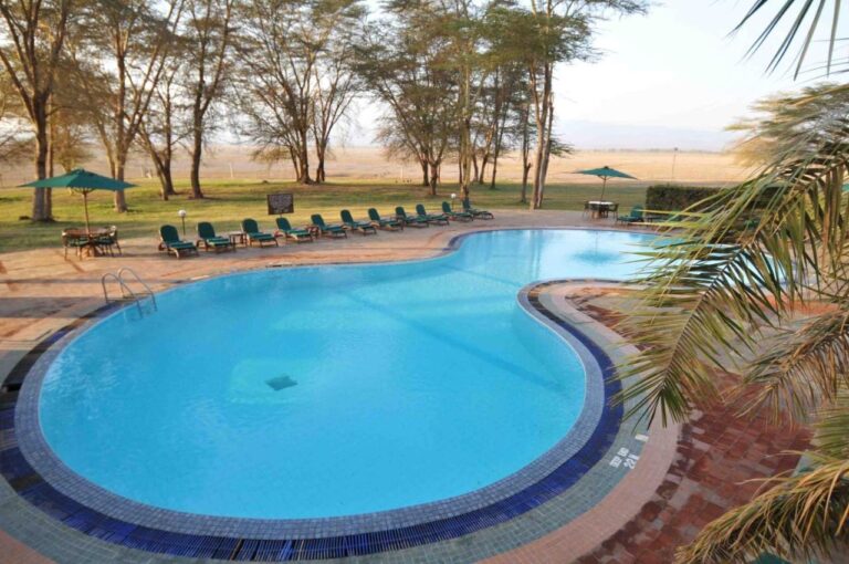 La piscine entourée de chaises longues vertes et de parasols, devant les acacias et la plaine