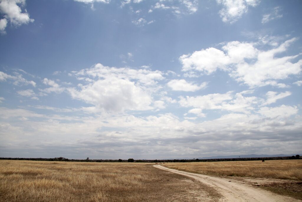Une piste de terre claire traverse une plaine d'herbe sèche sous un grand ciel bleu chargé de nuages, quelques antilopes au loin et des collines à l'horizon