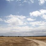 Une piste de terre claire traverse une plaine d'herbe sèche sous un grand ciel bleu chargé de nuages, quelques antilopes au loin et des collines à l'horizon
