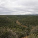 Vue large sur des collines couvertes d'un fourré vert serré sous un ciel gris, une petite vallée claire et une piste de terre au milieu