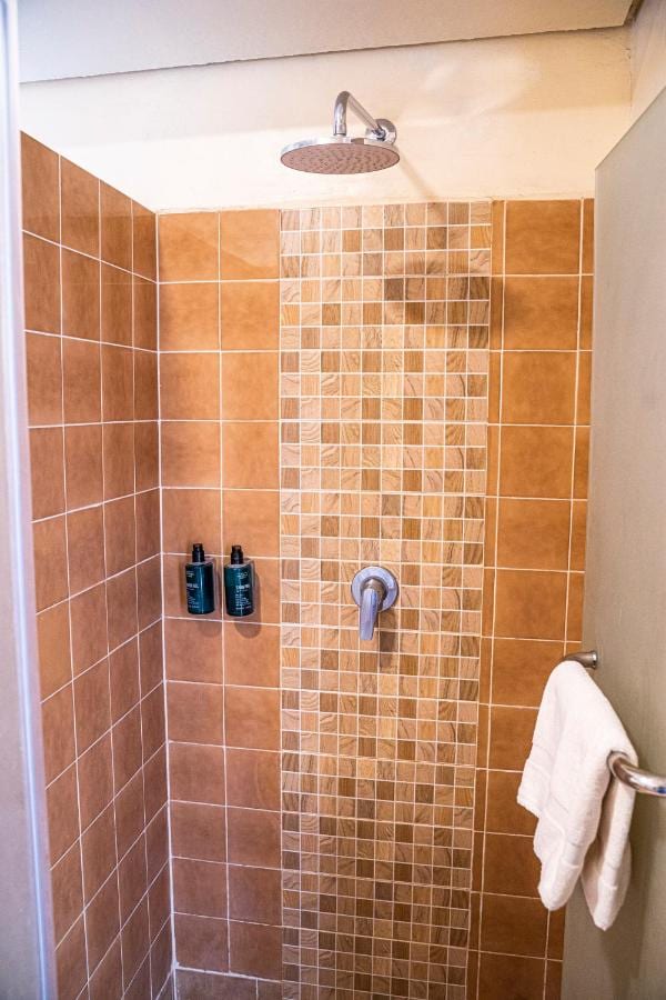 Une douche carrelée de brun, avec une bande de mosaïque, un large pommeau et deux flacons de savon
