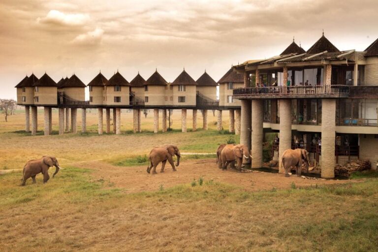 Des éléphants passent au pied du bâtiment principal sur pilotis, devant la rangée de tours au toit pointu
