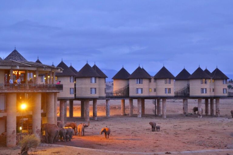 Des éléphants au pied du lodge à la tombée du jour, sous la terrasse éclairée et la rangée de tours sur pilotis