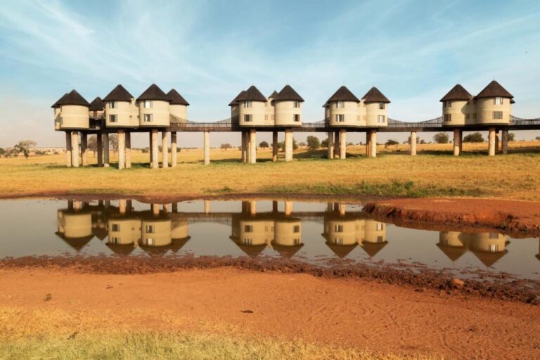 Les tours sur pilotis du Salt Lick Safari Lodge, reliées par des passerelles, se reflètent dans un point d'eau