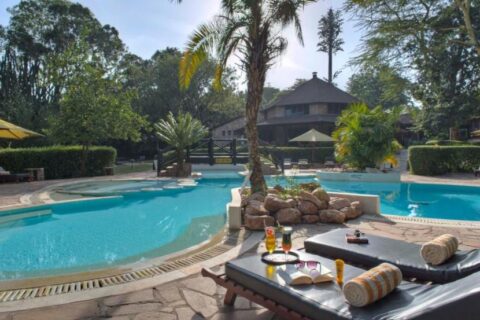 La piscine en forme de lagon du Sarova Mara Game Camp, autour d'un îlot de rochers planté d'un palmier