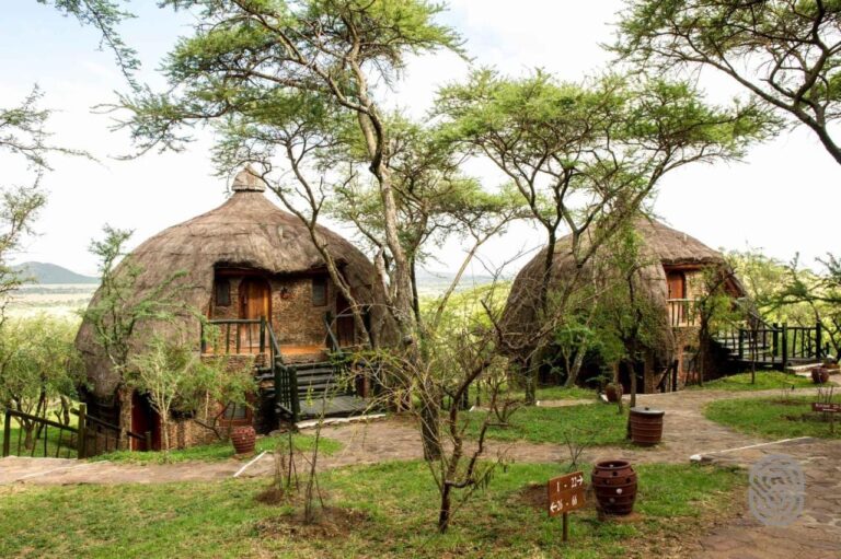 Deux cases rondes du Serengeti Serena Safari Lodge, sous leur toit de chaume en dôme, entre les acacias