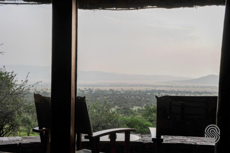 Des chaises en silhouette sur une terrasse couverte, face à la plaine boisée et aux collines dans la brume