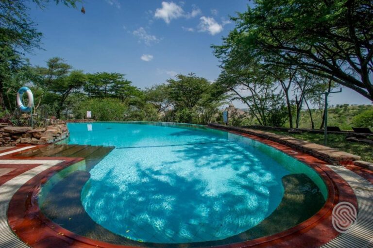 La piscine sous les acacias, avec une bouée de sauvetage et un muret de pierres sèches