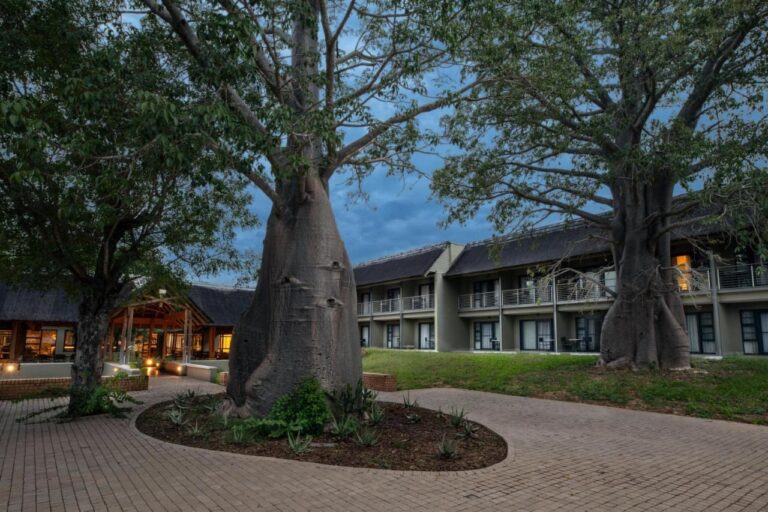 Deux baobabs dans la cour pavée du Skukuza Safari Lodge, devant les ailes des chambres, à la tombée du jour