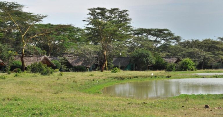 Un point d'eau dans la prairie, devant les tentes du Sweetwaters Serena Camp entre les acacias