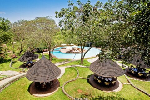 La piscine du Tarangire Sopa Lodge et ses paillotes au toit de chaume, au milieu des arbres
