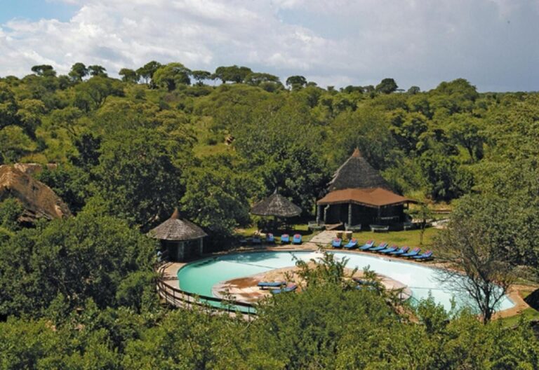 La piscine du lodge au milieu de la brousse du Tarangire, couverte d'arbres