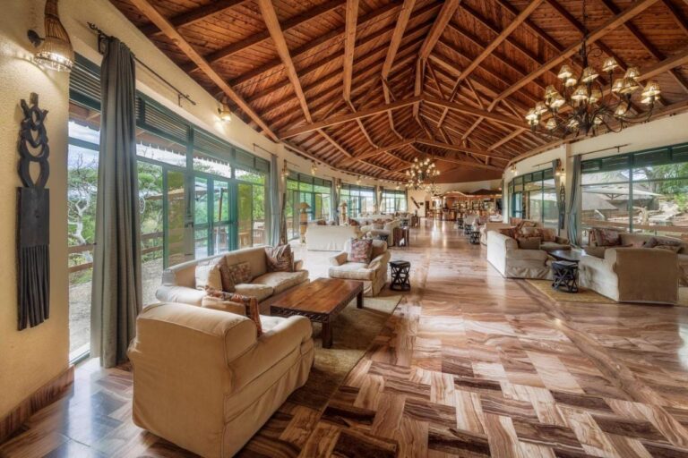 Le grand salon du lodge, ses fauteuils et ses baies vitrées sous une charpente en bois