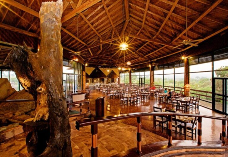Le restaurant du lodge, ses tables ouvertes sur la brousse et un tronc d'arbre au milieu