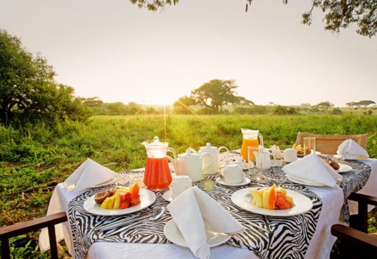 Une table de petit-déjeuner dressée sur une terrasse face à la savane, au lever du soleil