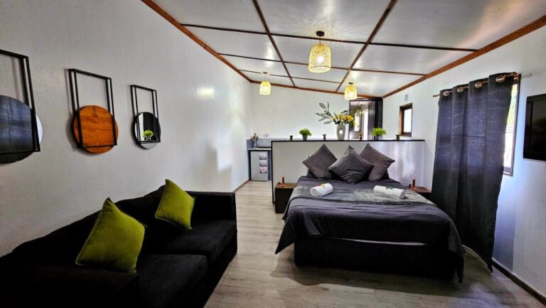Un studio avec un canapé noir aux coussins verts, un grand lit gris et, au fond, la kitchenette derrière un muret