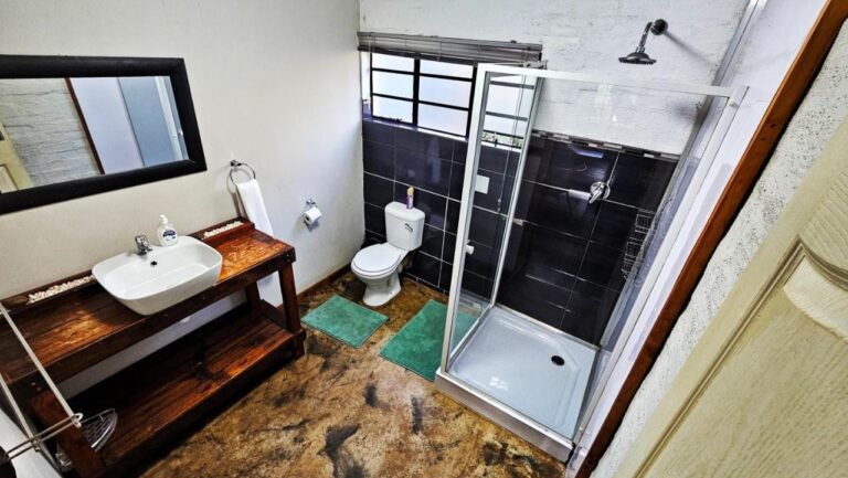 Une salle de bains avec une cabine de douche vitrée, des toilettes et une vasque posée sur un meuble en bois sombre