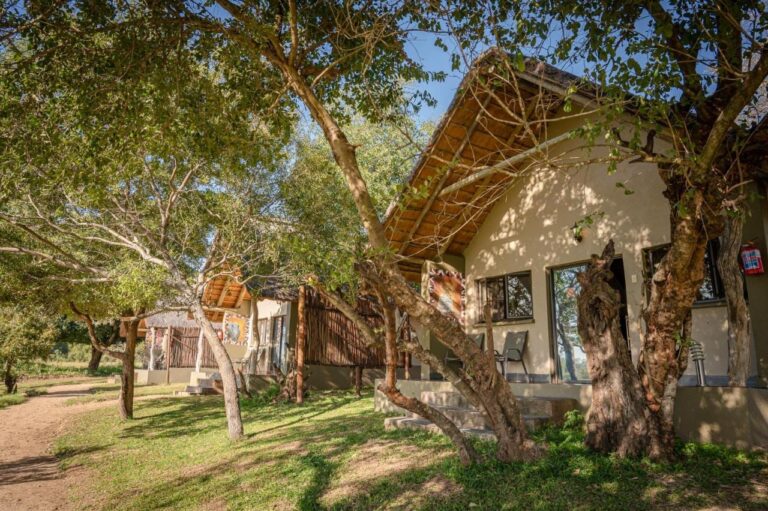 Des chalets au toit de chaume sous les arbres, au bord d'un chemin de sable